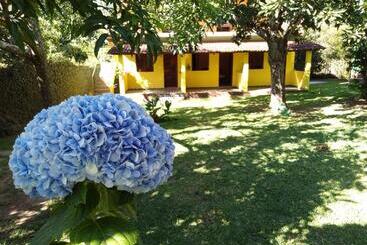 פנסיון Pousada Abacateiro