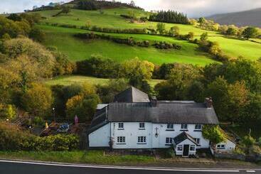 Bed and Breakfast Dinas Castle Inn
