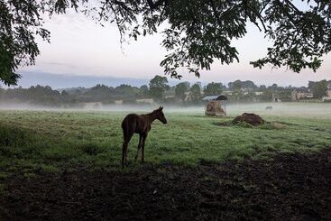 住宿加早餐  Le Haras D Havetot
