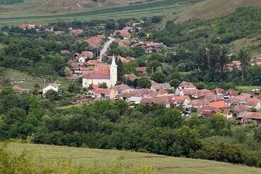 Pensiune Casa Randunica