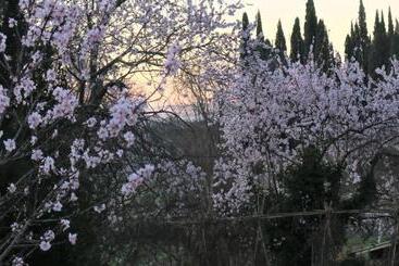 Cheriedel Bed & Breakfast & Art Gallery