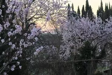 Cheriedel Bed & Breakfast & Art Gallery