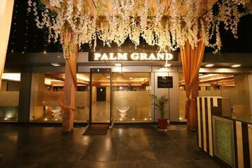 Hotel Palm Grand Naraina New Delhi Couple Friendly Local Ids Accepted