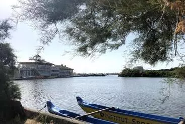 ツーリストアパートメント Appartement Au Coeur Des Pins, Plage à 400 Mètres