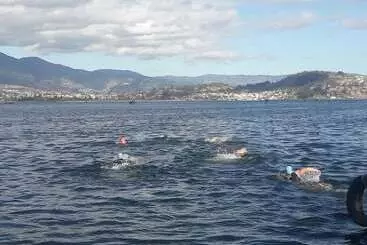 Отель Green House Araque Inn