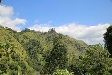 הוסטל Ella River Face Inn