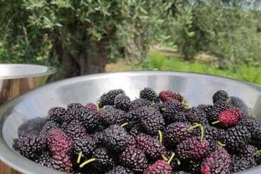 Agriturismo Passione Natura