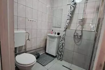 ツーリストアパートメント Apartament Un Dormitor și Living La Curte Corbu