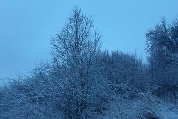 پانسیون Colț De Rai Camera De Inchiriat
