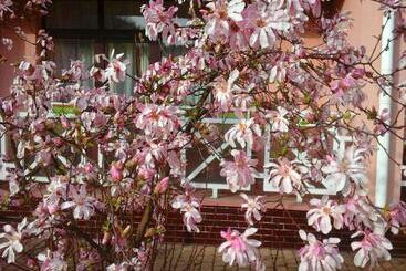 Pensió поляна аква резорт