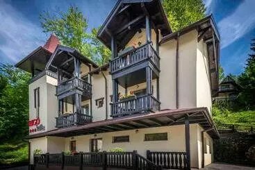 Panzió Vila Rigo Sovata