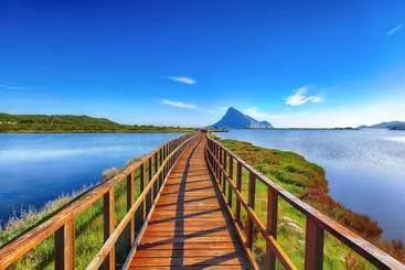 ツーリストアパートメント Welcomely   Il Bouquet