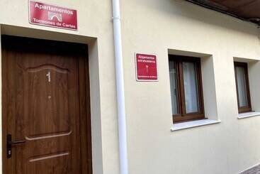 ツーリストアパートメント Apartamentos Torreones De Cartes