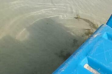 Apartaments turístics Porto Marina Luxury Flat For Families Onlyشاليه فاخرداخل بورتو مارينا