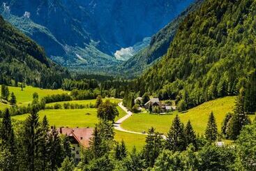 Apartamentos turísticos Alpine Dream Chalet With Private Ski Lift