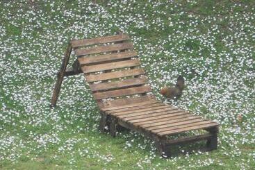 Apartamentos turísticos Castellino4holidays