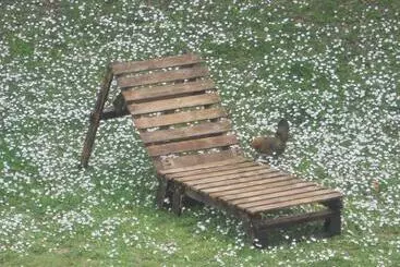 ツーリストアパートメント Castellino4holidays