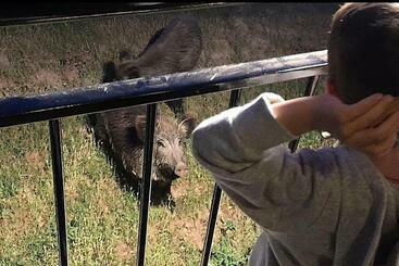 شقق خاصة سياحية El Jabalí Contento