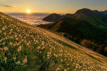 Turistihuoneistot Apartment Rose