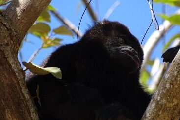 호텔 Chez Nous B&b