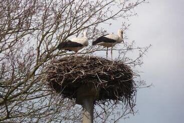 Hotel Kavaliershaus Schloss Blücher