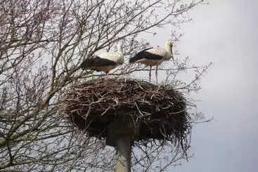 Hotelli Kavaliershaus Schloss Blücher