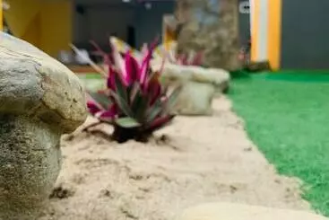 تختخواب و صبحانه Casa Luna San Juan