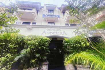 پانسیون Pensión Anduriña