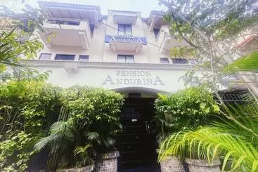 ペンション Pensión Anduriña