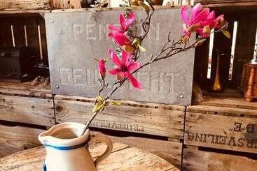 Bed and Breakfast Geulzicht