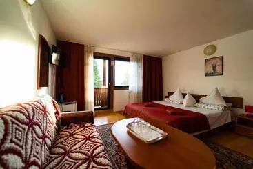 Hotel Pensiunea Margaritar