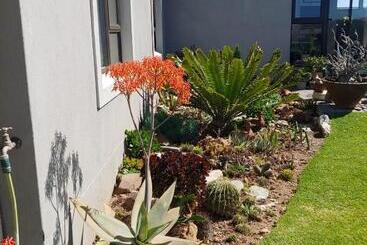 פנסיון Droom Verlore