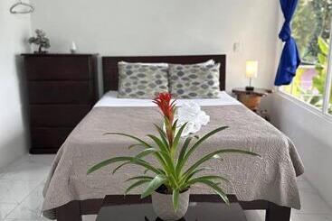 فندق Serendipity