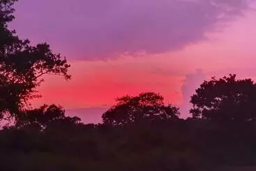 Pensió Duncan Murray Villa