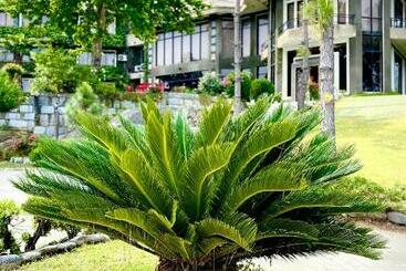 Hotel Rock City Resort