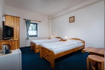 بنسيون Penzion Za Mlynom