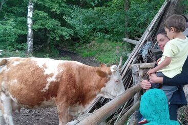 پانسیون Room In Guest Room Sejour Retreat For Family In Paradise