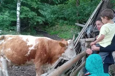 Majatalo Room In Guest Room   Sejour Retreat For Family In Paradise