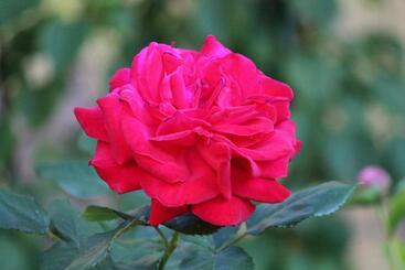 مبيت وإفطار La Chambre Aux Hirondelles