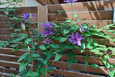 Bed and Breakfast Studio Cosy à 10 Minutes De Nîmes