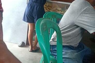 פנסיון Irlyandoz Lodge