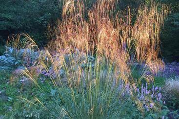 צימר Bank Farm House