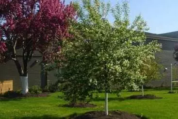 Hotelli Veterans Park