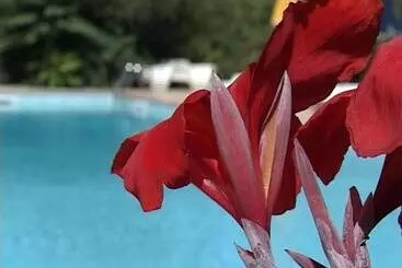 Сельский отель Villa Tasca