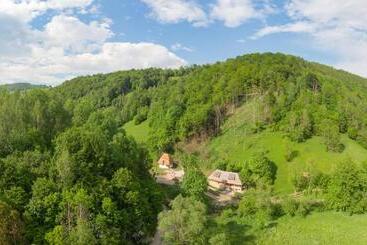 פנסיון Casa Bunicilor Apuseni