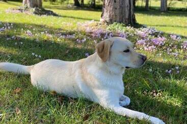 مبيت وإفطار Chambres D’hôtes Les Mouillères