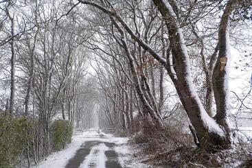 צימר Natuurhuisje T Poepekrus