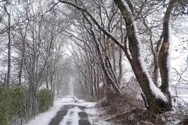 ベッドアンドブレックファースト Natuurhuisje  T Poepekrus