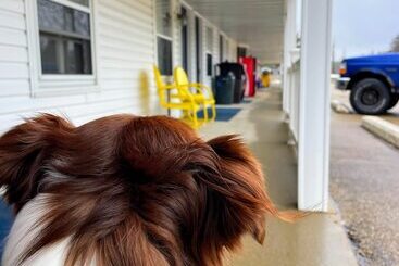 Hillcrest Inn & Motel