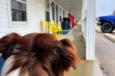 Hillcrest Inn & Motel